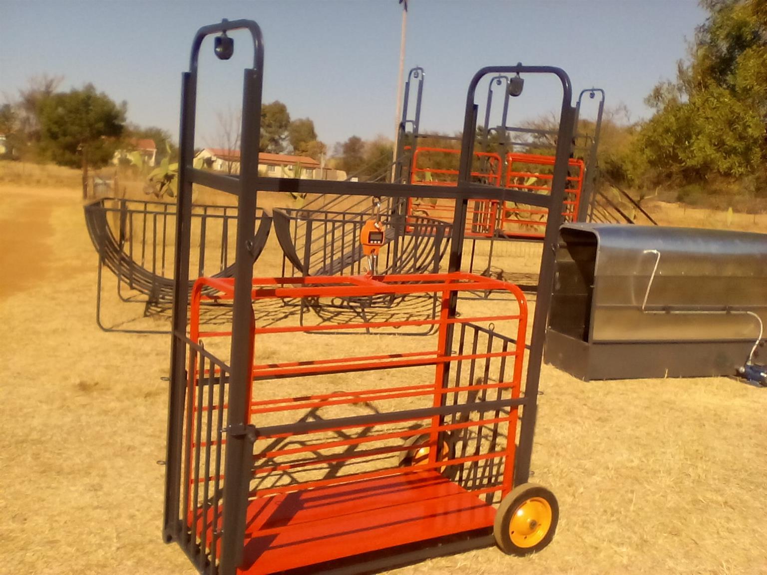 Sheep weigh crate