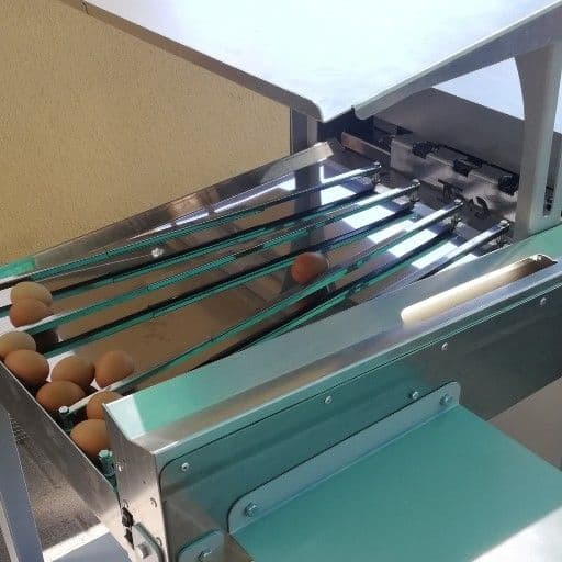 Egg grader