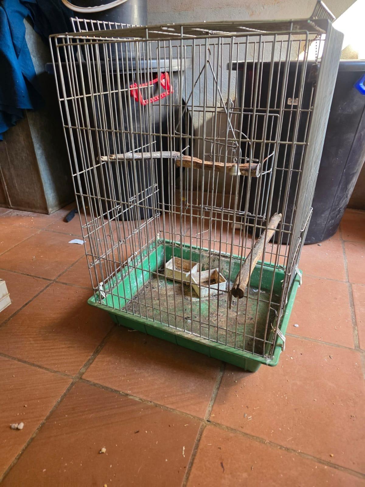 Steel Bird Cage