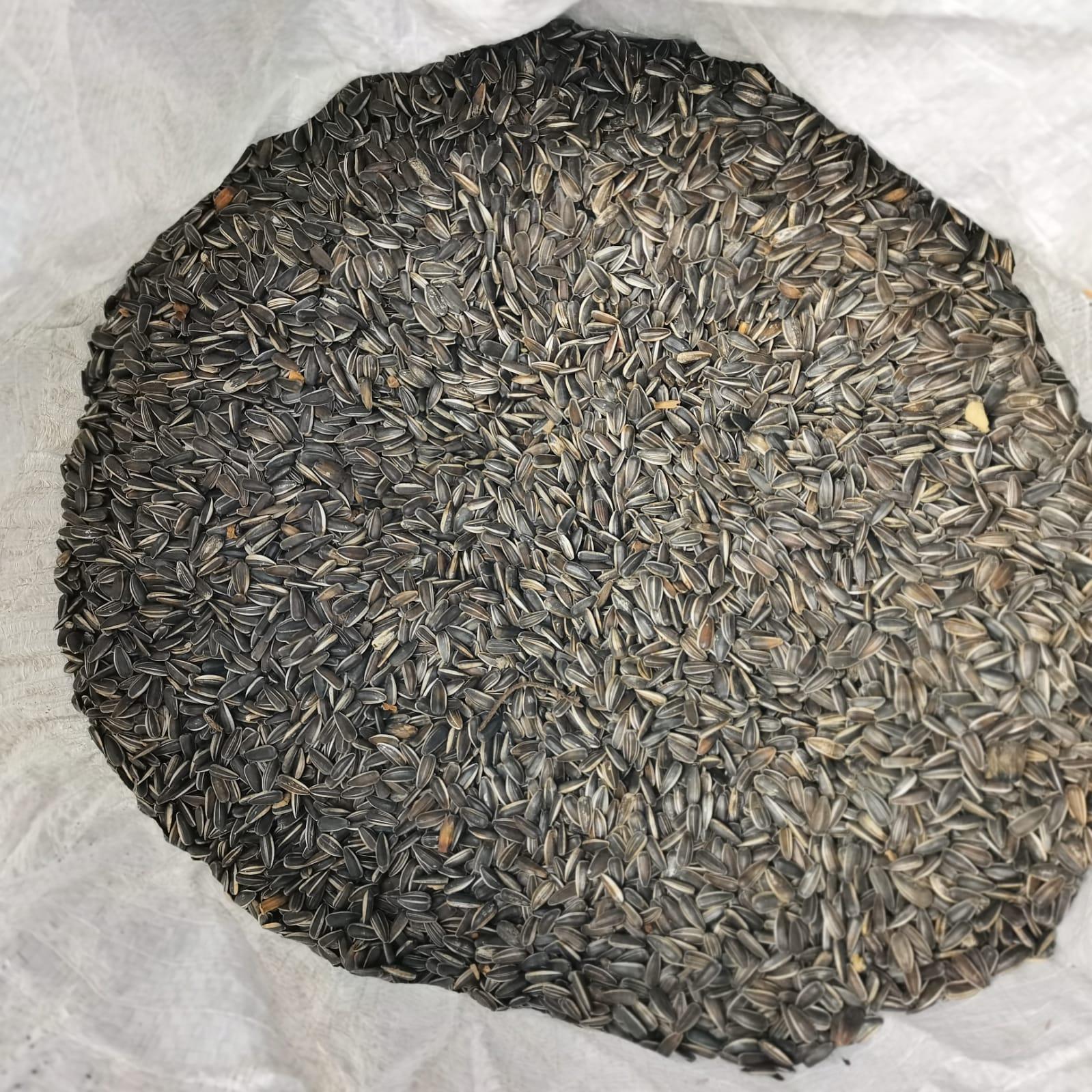 5 bags of sunflower