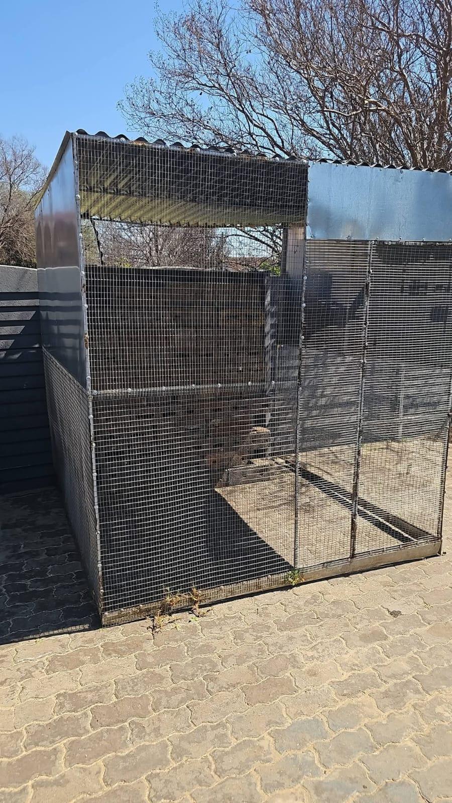 Bird Cage