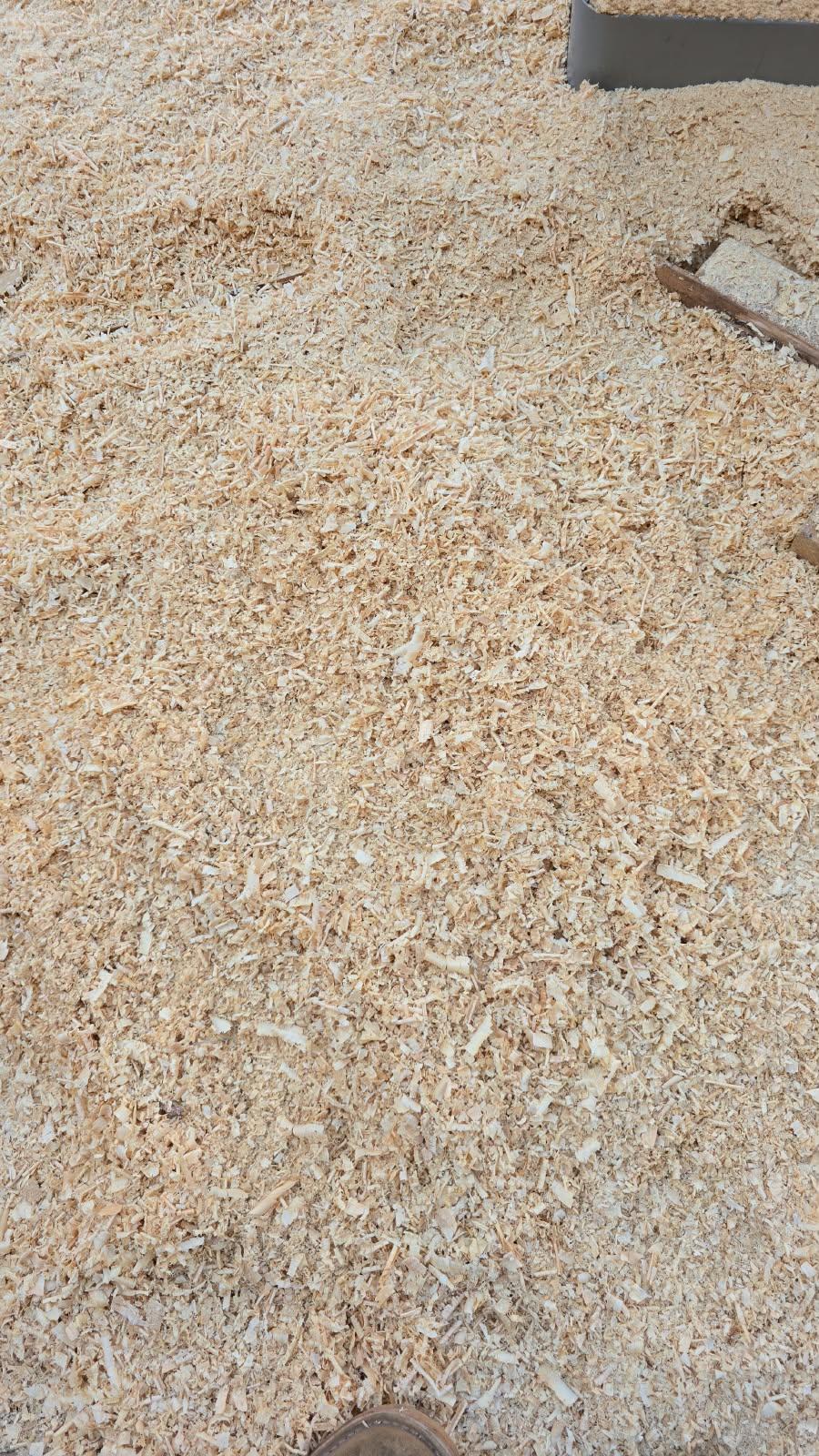Wood Shavings