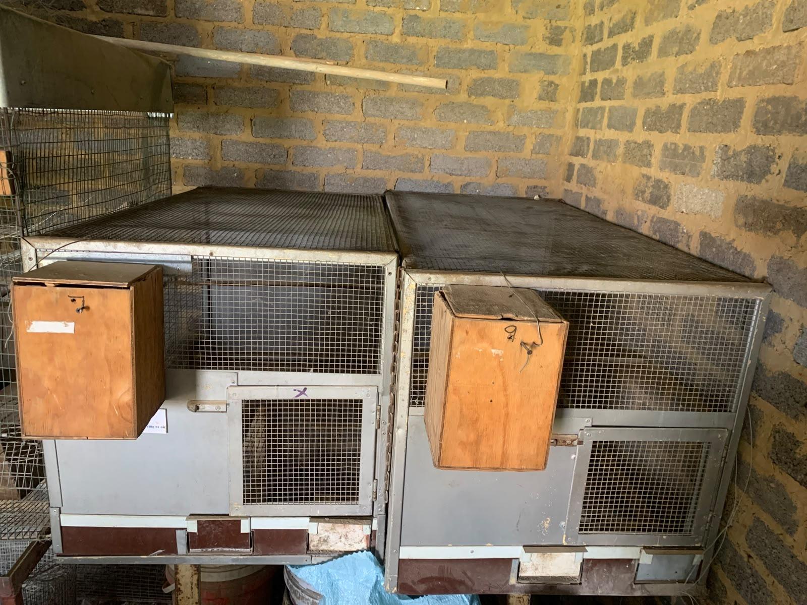 Bird breeding cages x 2
