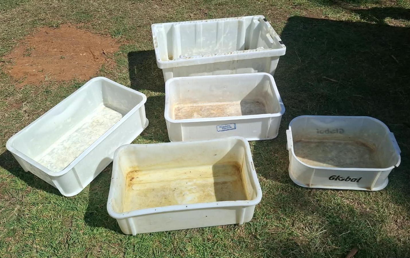Meat buckets x 5
